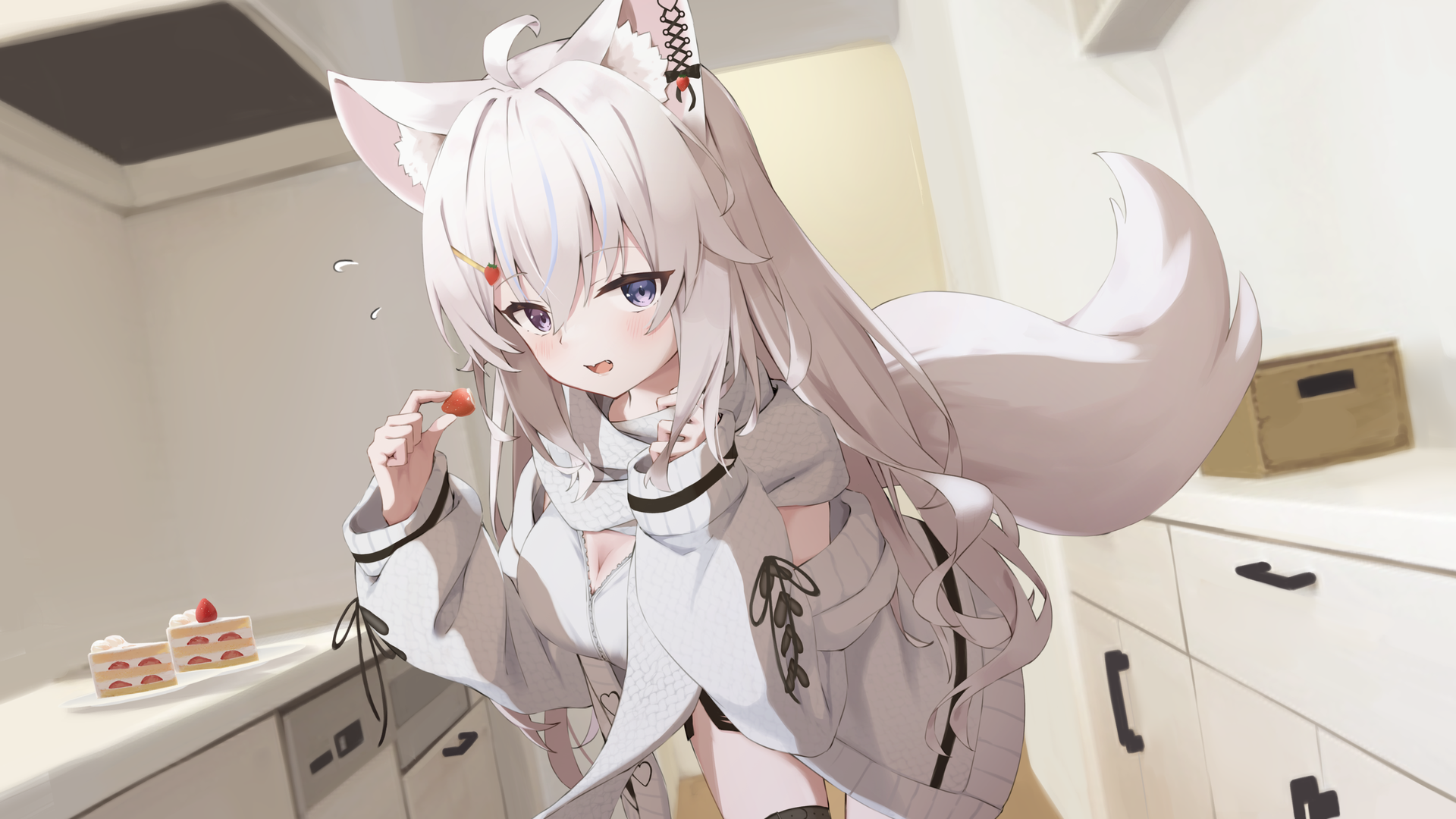 可爱的白毛~ - ❄